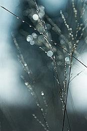 《海贼王：时光旅诗》新实机 1月13日发售